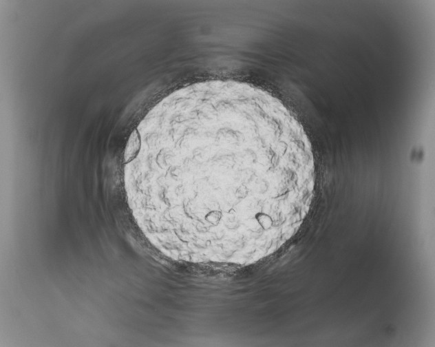 X0000111781106200909031126