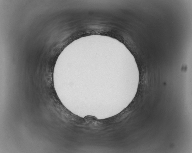 X0000111781109200909031126