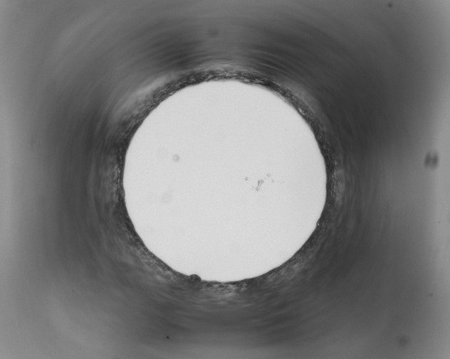X0000111781111200909031126