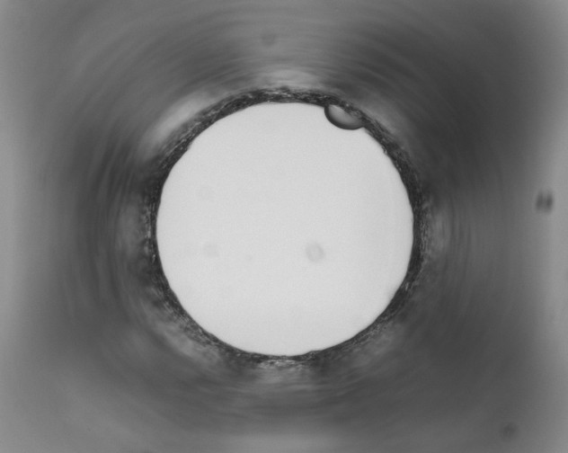 X0000111781112200909031126