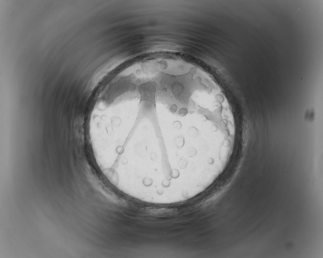 X0000111781113200909031126