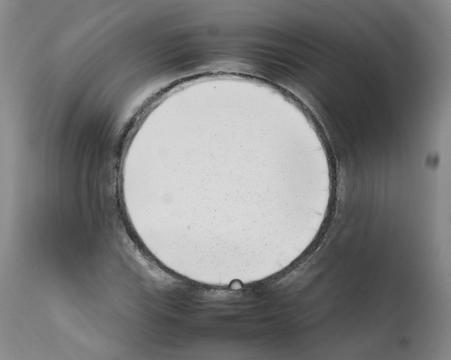 X0000111781115200909031126