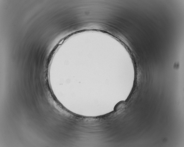 X0000111781116200909031127