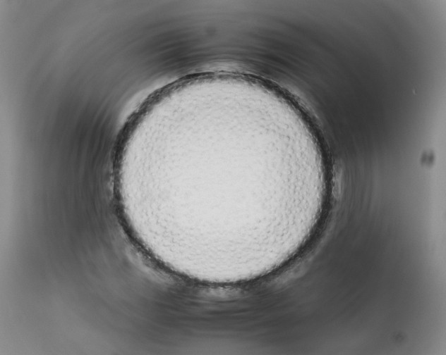 X0000111781117200909031127
