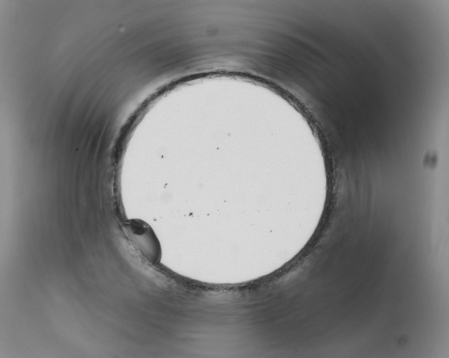 X0000111781118200909031127