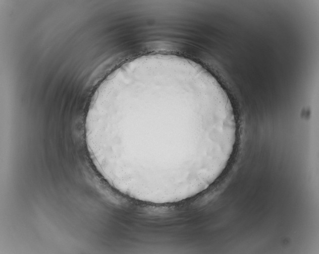 X0000111781121200909031127