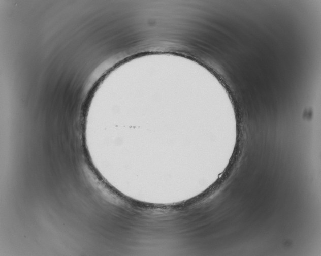 X0000111781122200909031127