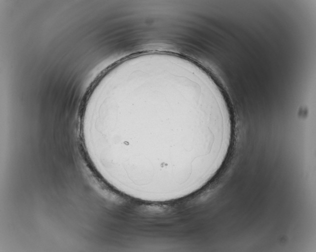 X0000111781125200909031127