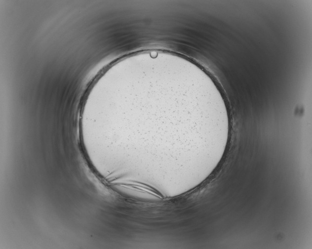X0000111781127200909031127