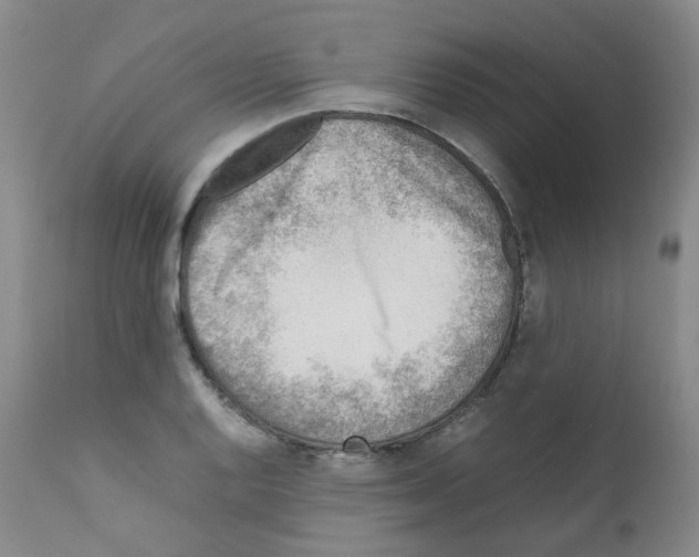X0000111781128200909031127
