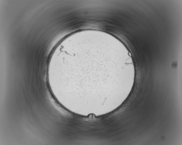 X0000111781131200909031127