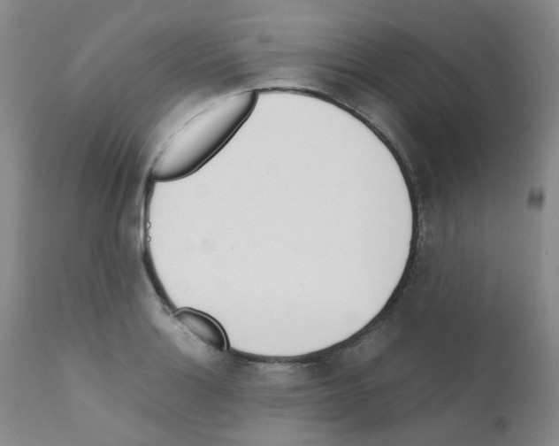 X0000111781132200909031127