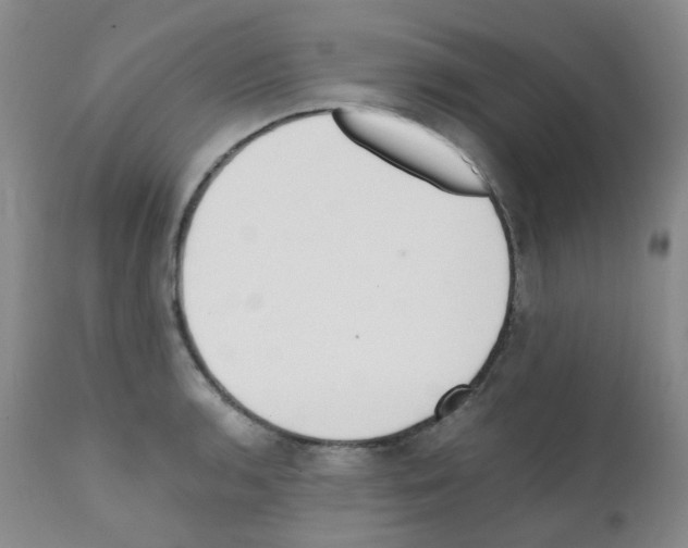 X0000111781136200909031127
