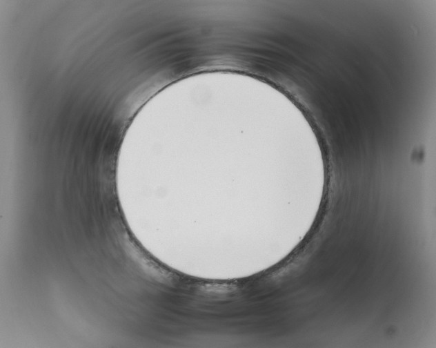 X0000111781137200909031127