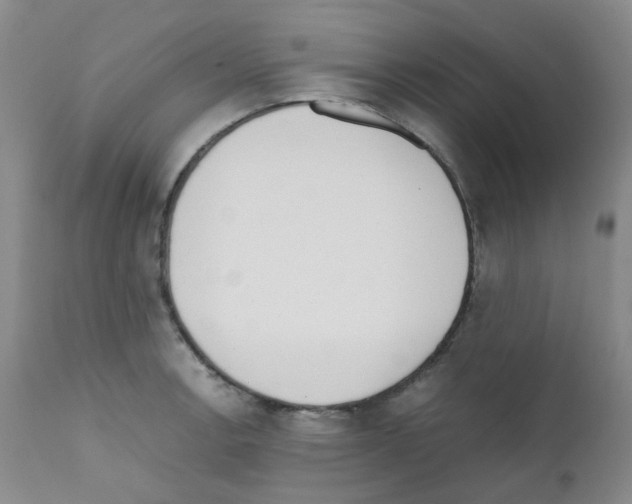 X0000111781138200909031127