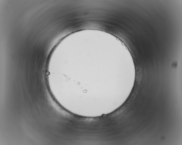 X0000111781139200909031127
