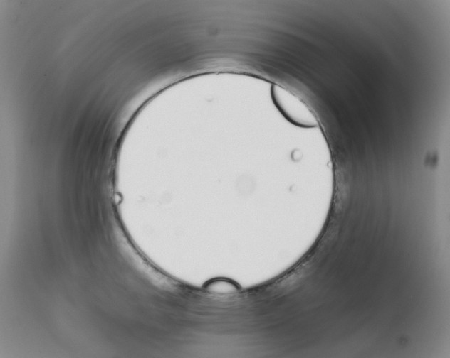 X0000111781142200909031127