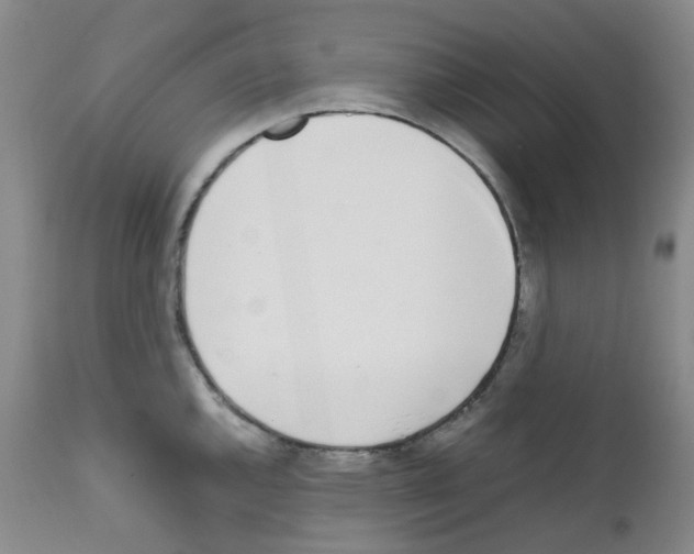 X0000111781144200909031127