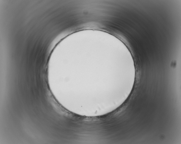 X0000111781146200909031127