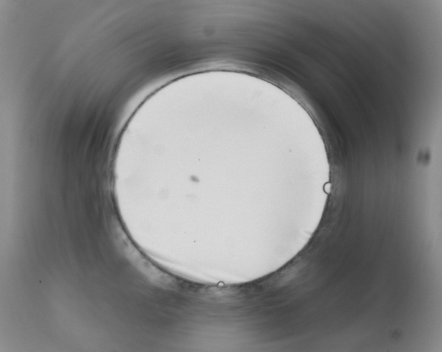X0000111781148200909031127