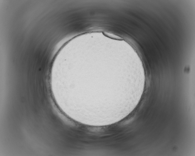 X0000111781149200909031127