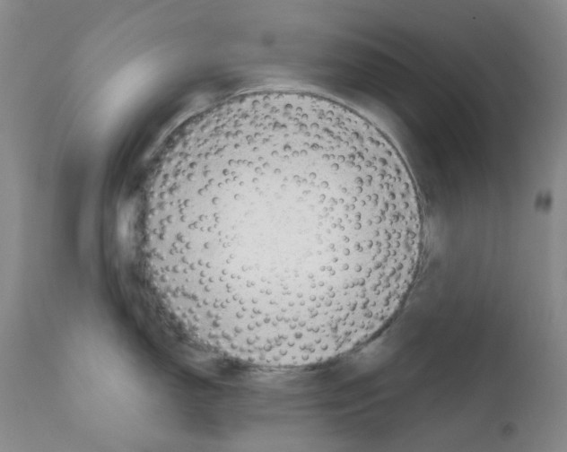 X0000111781150200909031127