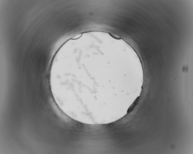 X0000111781152200909031127
