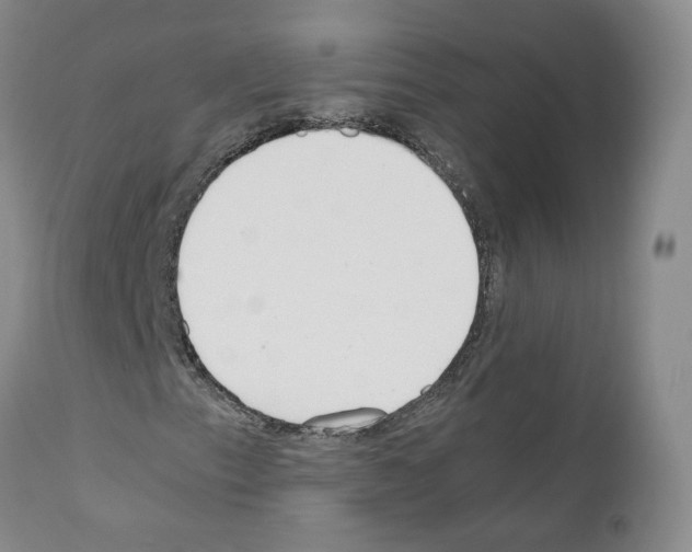 X0000111781153200909031126
