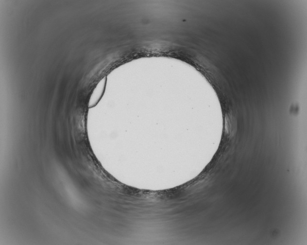 X0000111781155200909031126