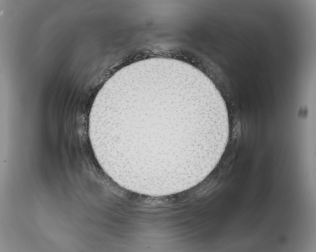 X0000111781156200909031126