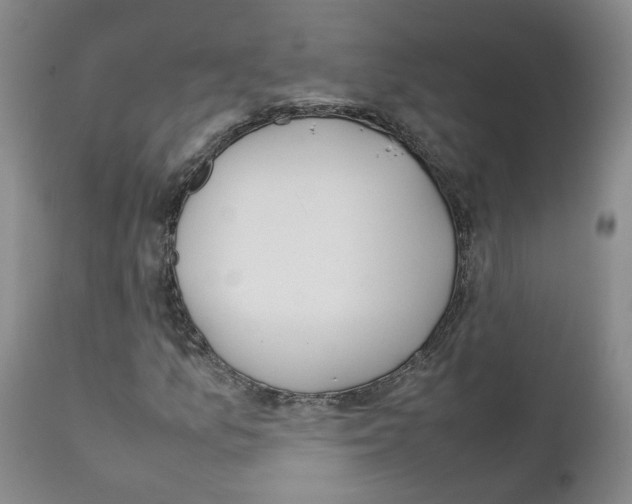 X0000111781157200909031126