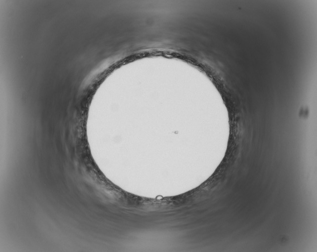 X0000111781159200909031126