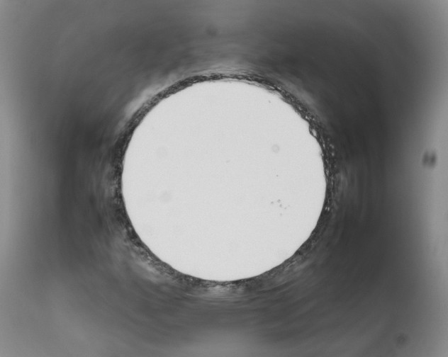 X0000111781160200909031126