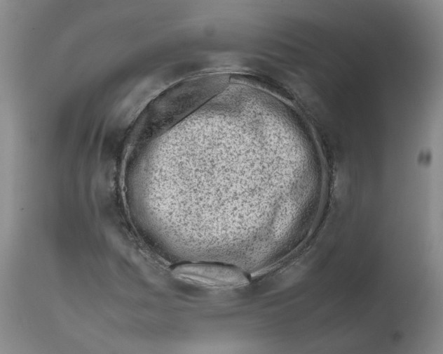 X0000111781161200909031126