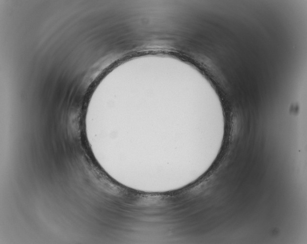 X0000111781162200909031126
