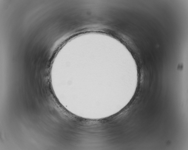 X0000111781164200909031126