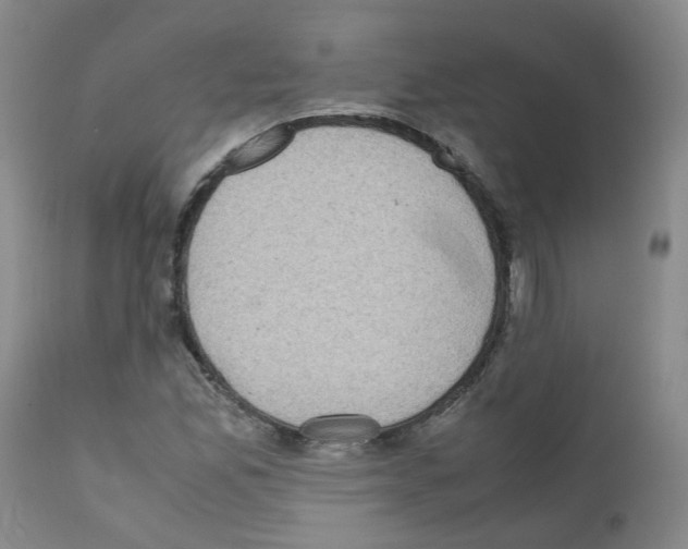X0000111781165200909031126
