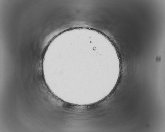 X0000111781167200909031126