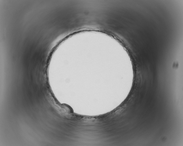 X0000111781168200909031126