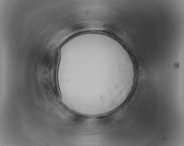 X0000111781169200909031126