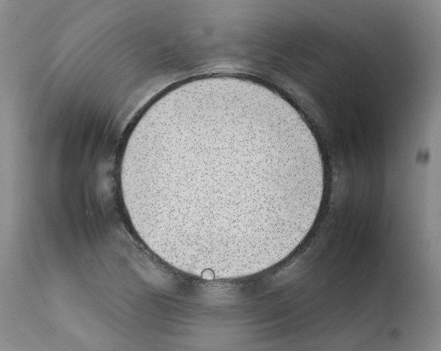 X0000111781170200909031126