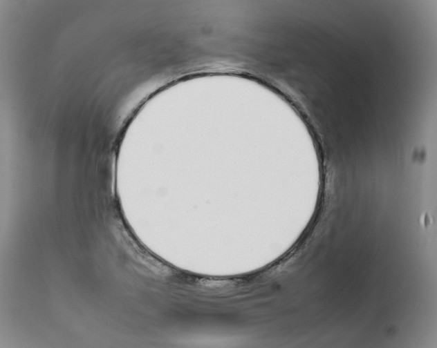X0000111781171200909031126