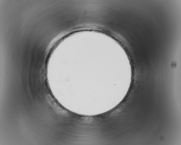 X0000111781172200909031126