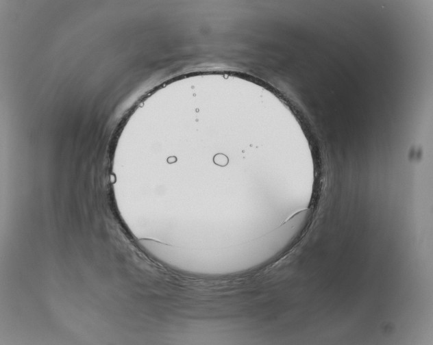 X0000111781173200909031126