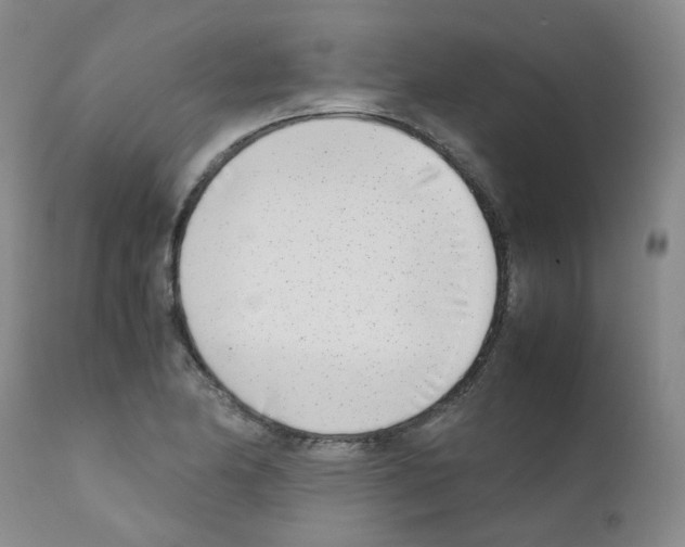 X0000111781174200909031126