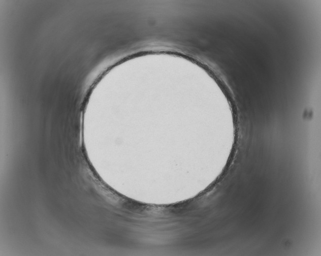 X0000111781175200909031126