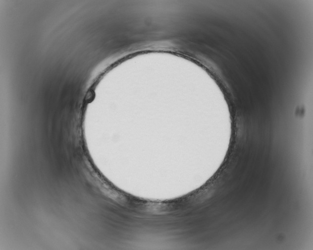X0000111781176200909031126