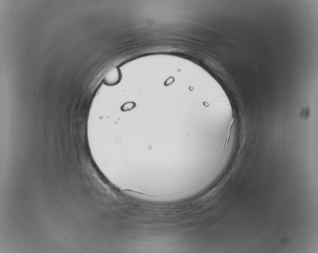 X0000111781177200909031126