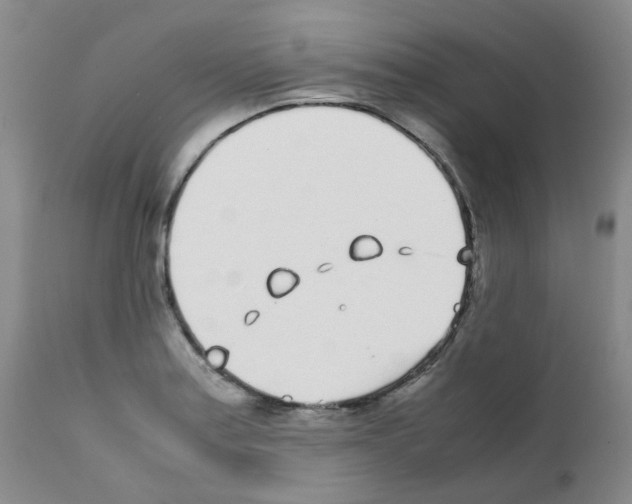 X0000111781179200909031126
