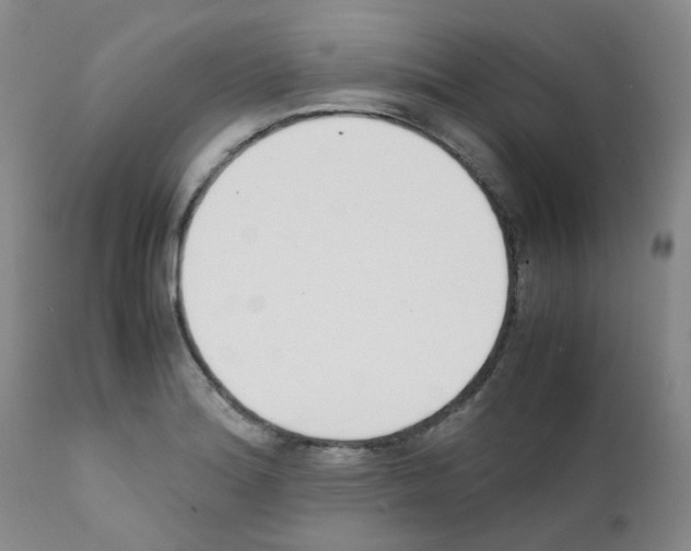 X0000111781180200909031126